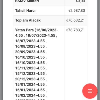 İstanbul Varlık Yönetim Tek İcraya Çift Dosya