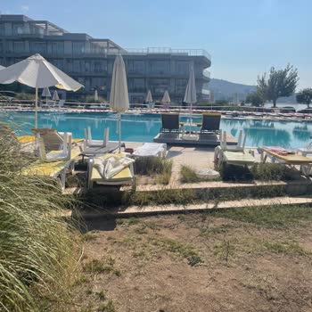 Tatil Rüyası Otel Havuz Problemi