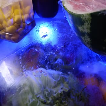 Arçelik Buzdolabımın Sürekli Arızalanması ve Değişim Talebi