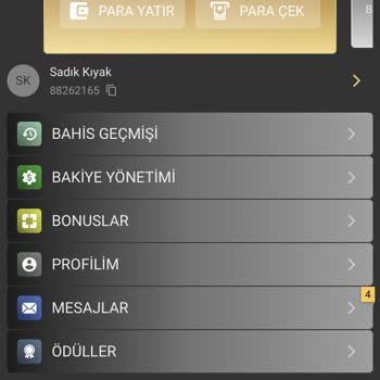 Casinowon Sitesinde Kazancım Sıfırlandı Ve Bonus Alamadım