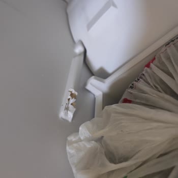 Altus Dolabım Sorunu Çözülmesini İstiyorum