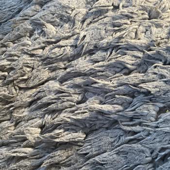 Hepsijet Kargomu Yanlış Yere Teslim Edildi Gösteriyor Kargom Kayboldu