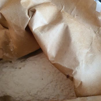 Şok Marketler Şok Marketten Aldığım Un Kurtlanmış!