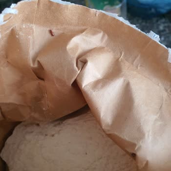 Şok Marketler Şok Marketten Aldığım Un Kurtlanmış!