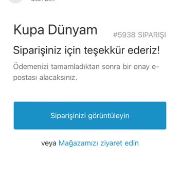 Kupa Dünyam Saç Kıllı Çift Cidarlı Kupa Bardak