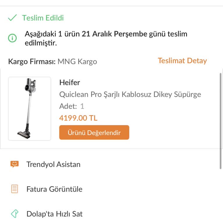 Heifer Dikey Süpürge Işık Ve Fırça Dönmeme Sorunu