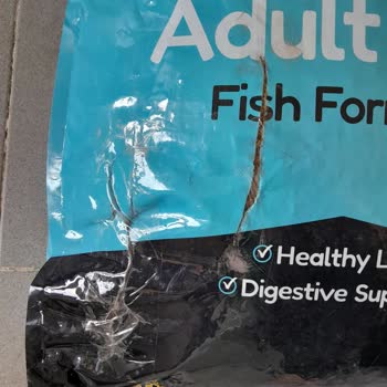 MNG Kargo Kedi Maması Siparişim Patlak Geldi