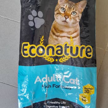 MNG Kargo Kedi Maması Siparişim Patlak Geldi