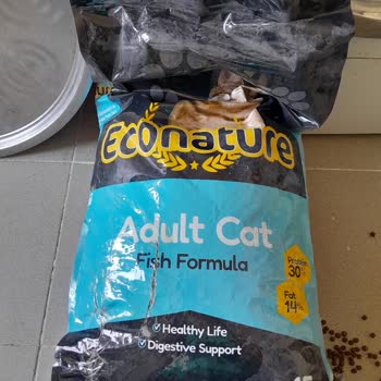 MNG Kargo Kedi Maması Siparişim Patlak Geldi