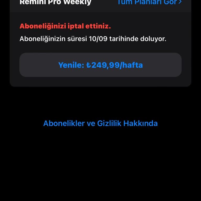 Remini Ücretsiz Denemede Faturaya 249 TL Yansıdı