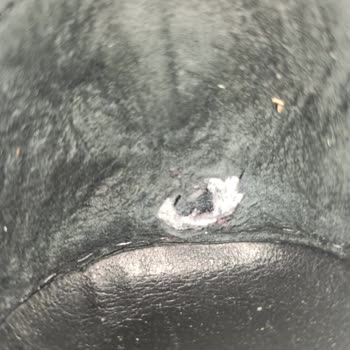 Bambi Ayakkabı Bambi'den Aldığım Ayakkabı 2 Ayda Dağıldı...