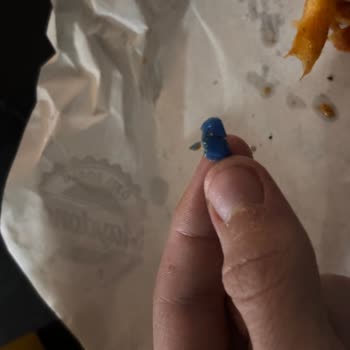 Maydonoz Döner Tako Nun İçinden Plastik Madde Çıktı