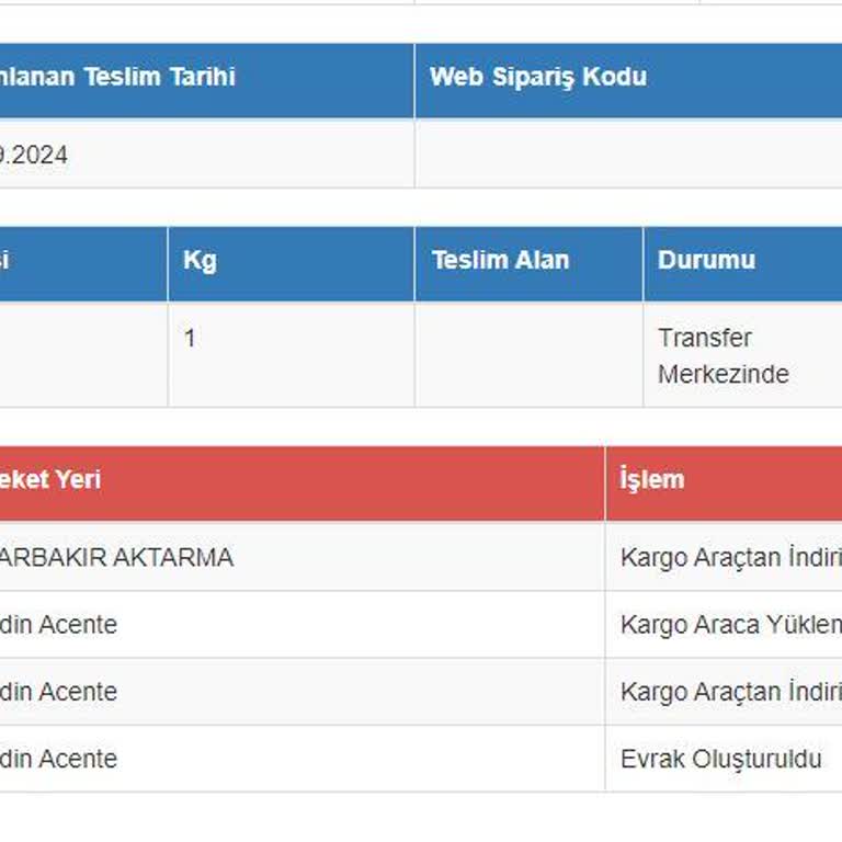 Sürat Kargo Kargomu İletemiyor İlgilenilmiyor