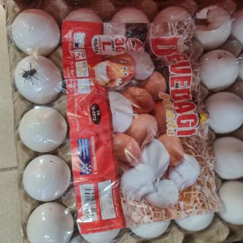 Uğur Market Ugur Market Böcekli Yumurtalar