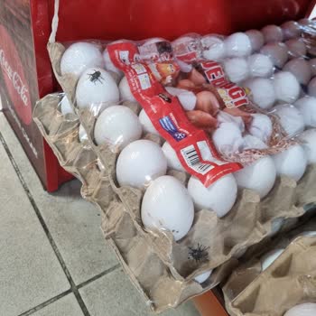 Uğur Market Ugur Market Böcekli Yumurtalar