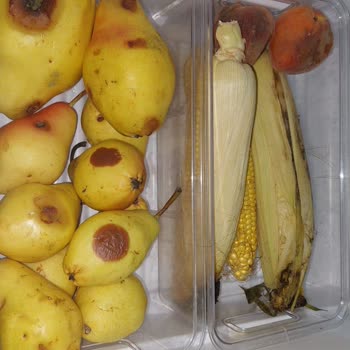 Vestel Buzdolabı Sürekli Arızalanıyor Ve Servis Sorunu Yaşatıyor