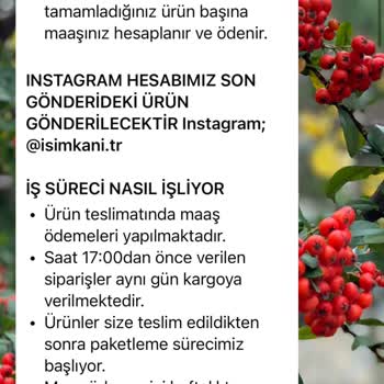 İsimkani.tr Gerçek Sayfa Değil