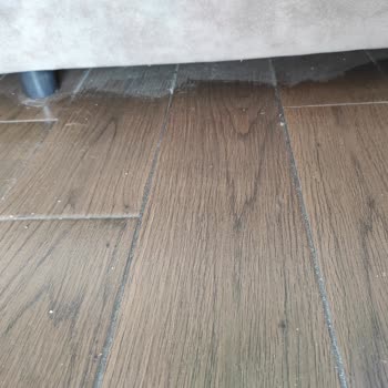 Yasmin Bodrum Resort Bodrum'daki Tatil Deneyimi