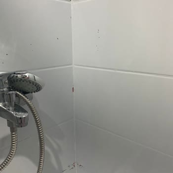 Bianca Boya Banyo Fayans Boyadık