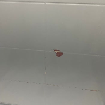 Bianca Boya Banyo Fayans Boyadık