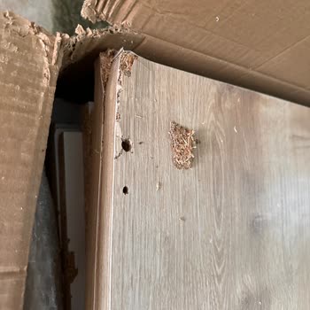 Şok Market Paramı Ver!