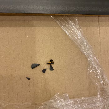 Hoghheim Yapılmayan Ücret İadesi