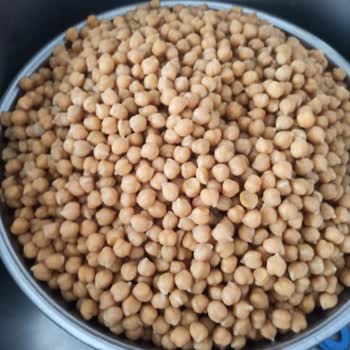 Yayla Bakliyat Yayla Koçbaşı Nohut Pişmiyor Ve İade Sorunu