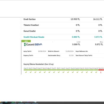Garanti Bankası Olmayan Borç Gecikmesi