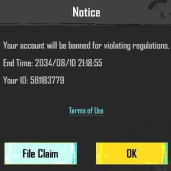 PUBG Banned My 6-Year Account After Using Gameloop Emulator Without Warning