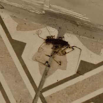 Akçakoca Parla Beach Otel Kesinlikle Kötü Bir Deneyim...