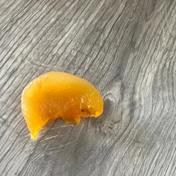 A101 Çerezya Kuru Kaysı Dan Kurt Çıkması Sorunu