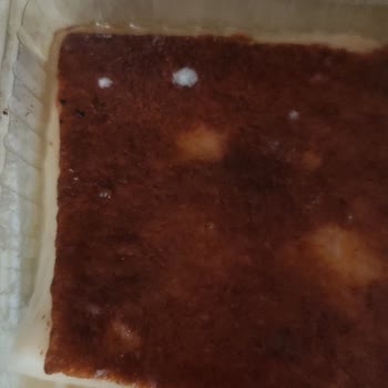 A101 Hanımdan Kazandibi Küflü Çıktı