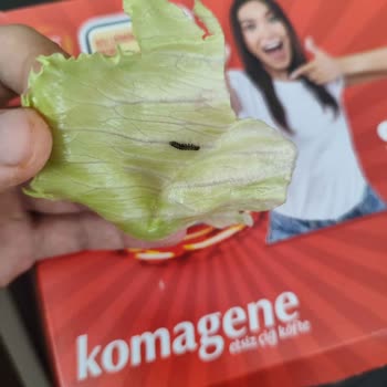 Komagene Yemekten Böcek Çıktı