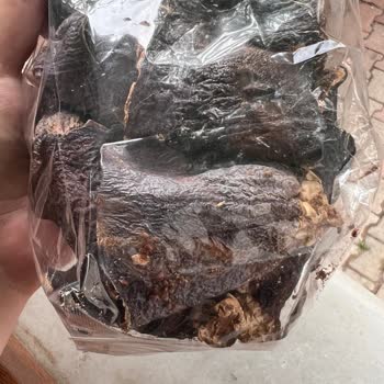 Migros Dünya Hayat Kuru Patlıcanlar Böceklendi