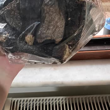 Migros Dünya Hayat Kuru Patlıcanlar Böceklendi