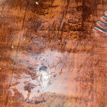 Bolu Muhtarın Yeri'nde Sinekli Pide