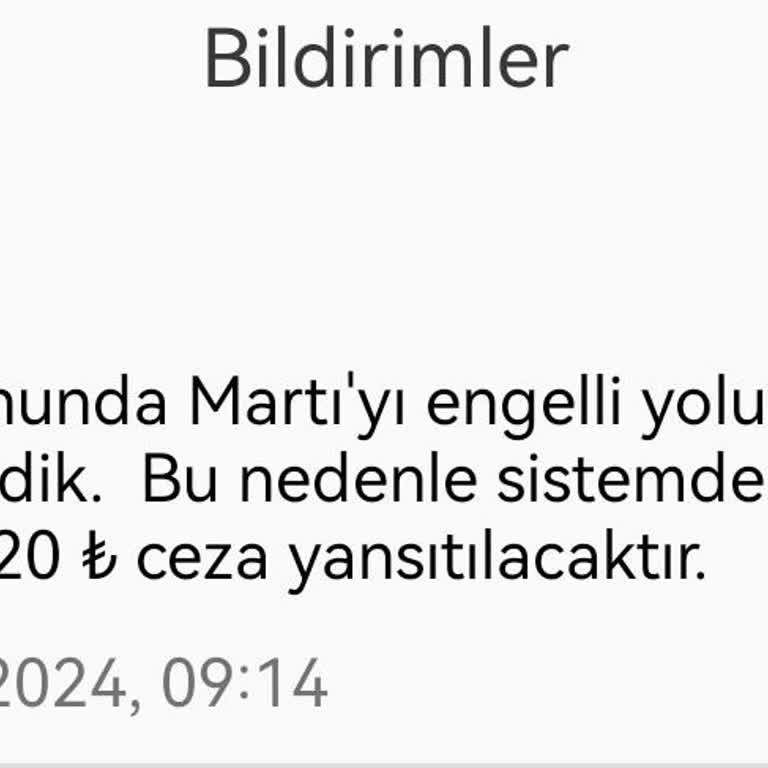 Martı Usulsüz Para Kesiyor