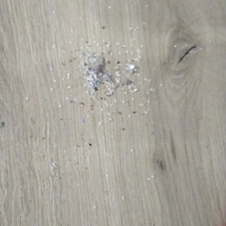 BİM Den Aldığım Heifer Dikey Süpürge