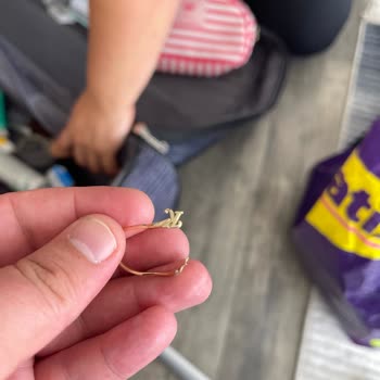 Ajet Uçuşta Kaybolan Değerli Eşyalarım İçin Adalet Arayışı