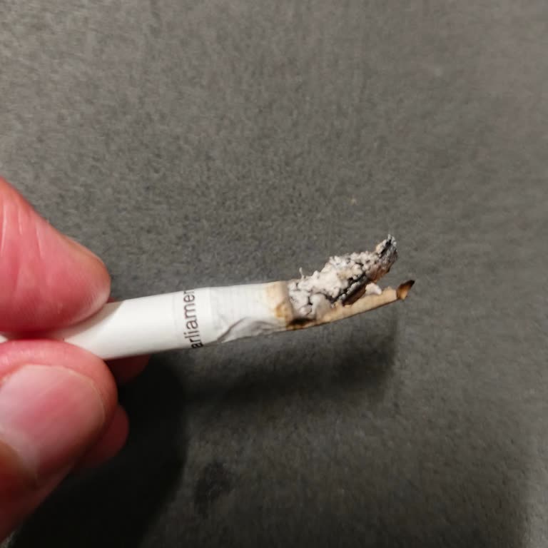 Philip Morris Sigaradan Odun Çıkması