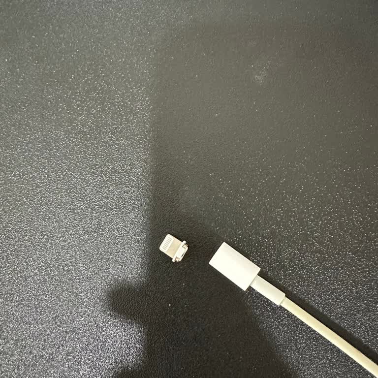 iPhone Apple Şarj Kablo Ucunun Düşmesi