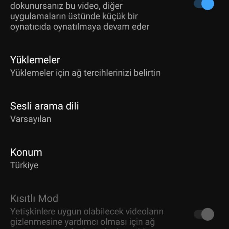 Şok Net Güvenli Mod Problemi