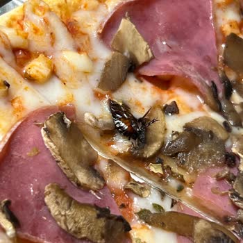 Harras Mantarlı Jambonlu Böcekli Pizza