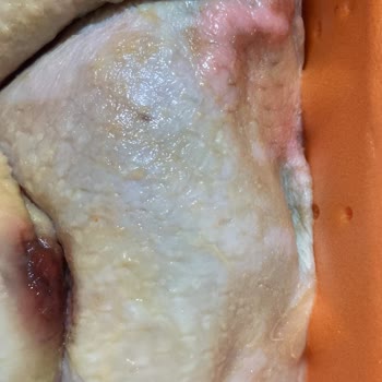 A101 Bozuk Ürün Gönderiyor.