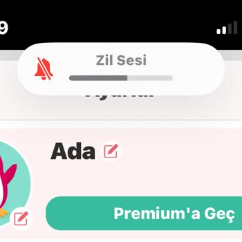 Pepapp Premium Satın Aldım Ancak Gelmedi?