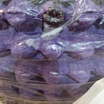 Mopaş - Bozuk Ürünle Kalakaldım.