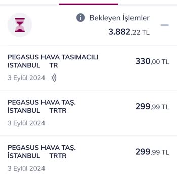 Pegasus Online Check-in Sorunu Ve Müşteri Hizmetleri Erişimsizliği