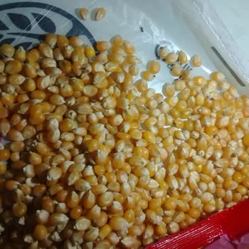 Şok Marketler Şok Marketten Aldığım Cin Mısırının İçerisi Canlı Böcek Dolu