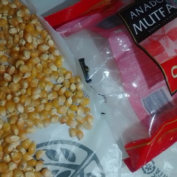 Şok Marketler Şok Marketten Aldığım Cin Mısırının İçerisi Canlı Böcek Dolu