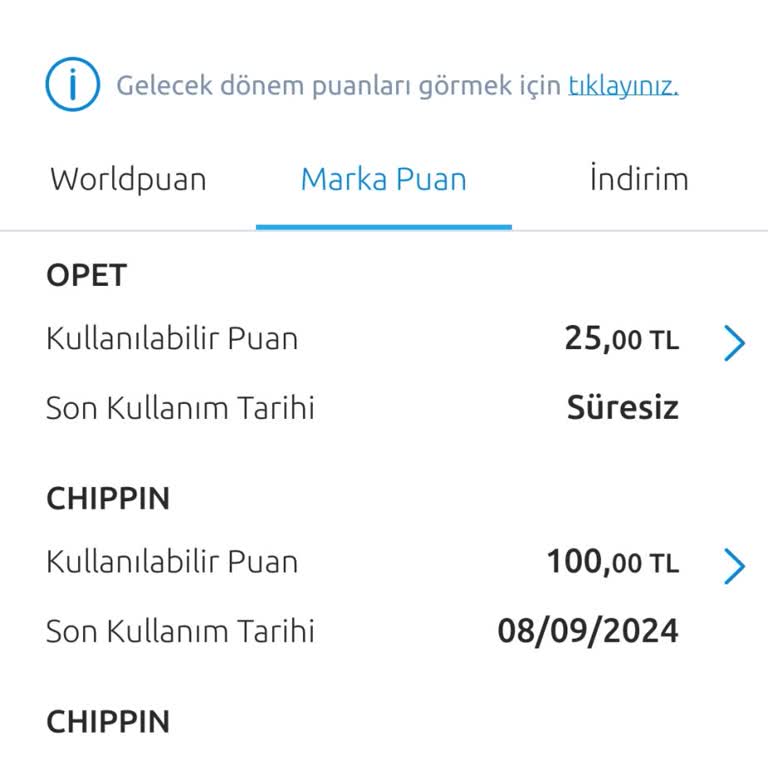 Chippin Puan Kullanamama Sorunu